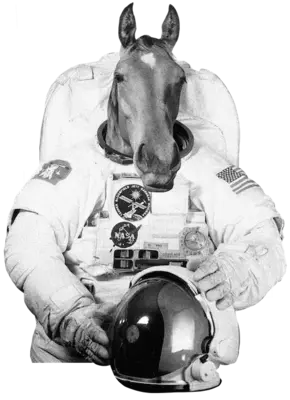 Pferd, das aussieht wie ein Astronaut