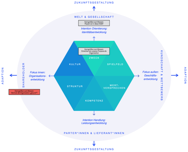 Strategie-Hexagon mit Umfeldern; hervorgehoben ist die Kenngröße links bei den Shareholdern: „Sind wir als Organisation ‚gesund'?" – sie liegt außerhalb des Hexagons