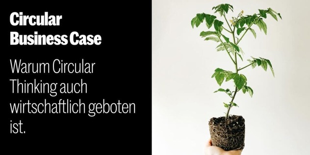 Hand hält einen jungen Tomatensetzling mit freiliegendem Wurzelballen; Text: Circular Business Case