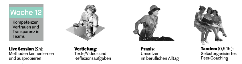 Ablauf einer Kurswoche: Live-Session, Vertiefung mit Texten und Reflexionsaufgaben, Praxis im beruflichen Alltag und Tandem-Peer-Coaching